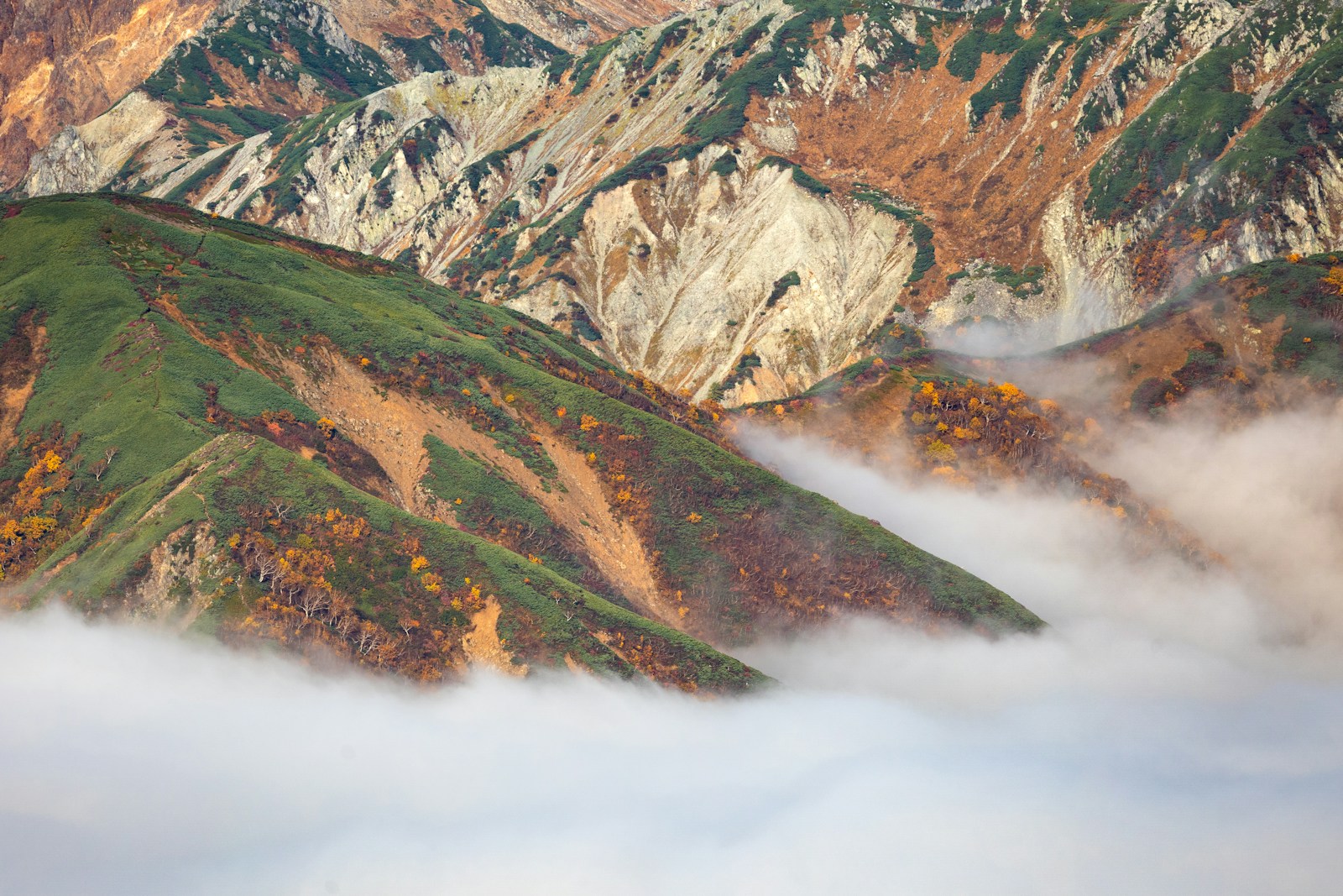 autumn mountains covered in morning mist, a natural image for White Dew Bailu
